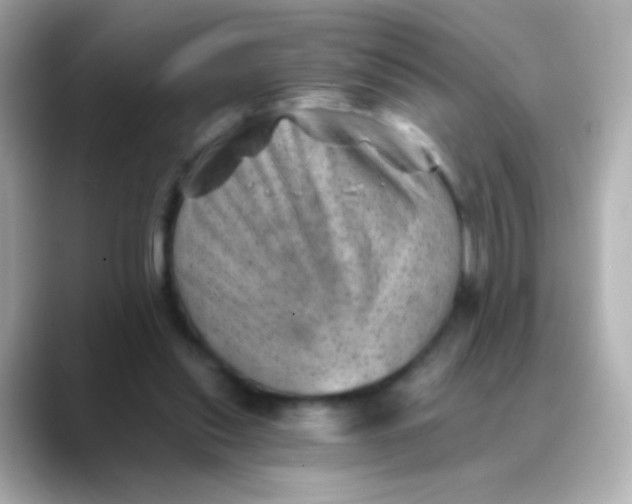 X0000088450253200706051311