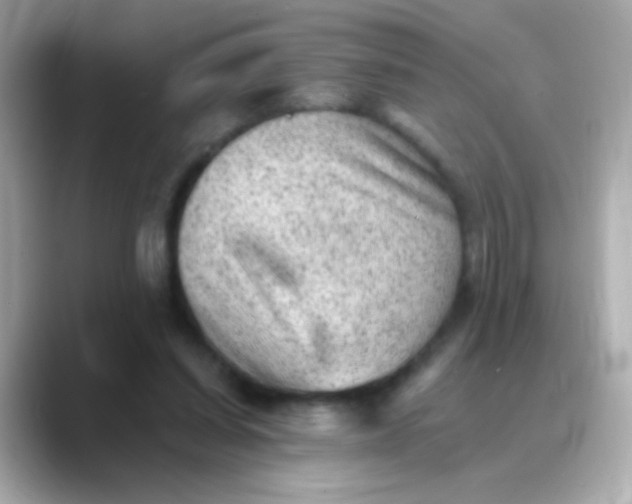 X0000088450254200706051311