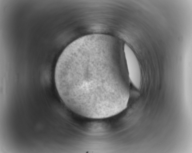 X0000088450255200706051311