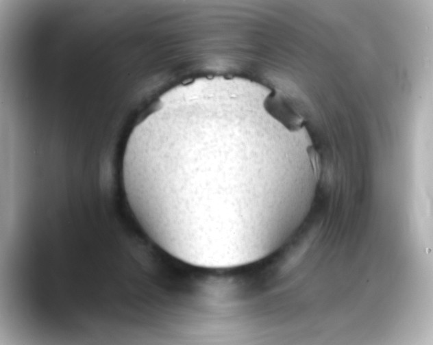 X0000088450256200706051311