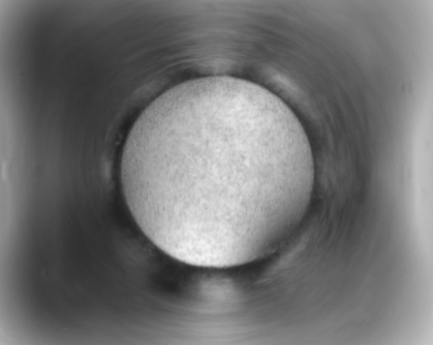 X0000088450258200706051311