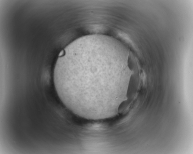X0000088450259200706051311