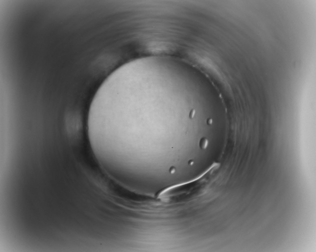 X0000088450260200706051311