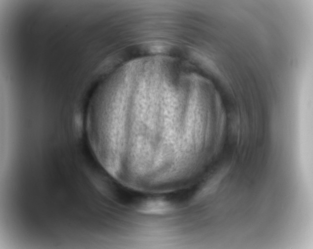 X0000088450262200706051311