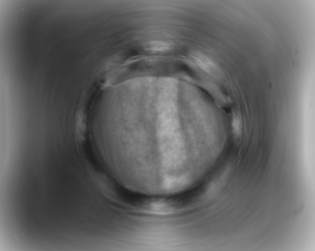 X0000088450264200706051311