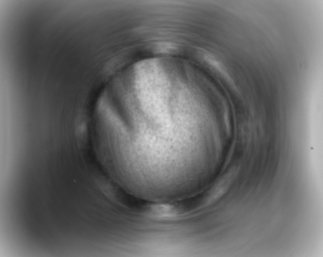 X0000088450265200706051311