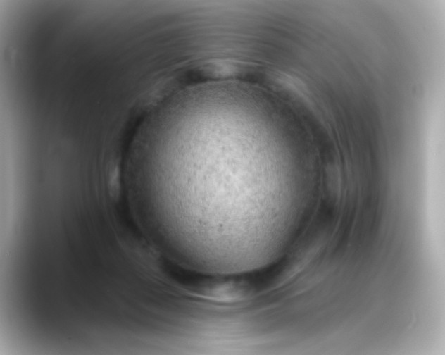 X0000088450267200706051311