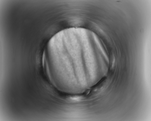 X0000088450268200706051311