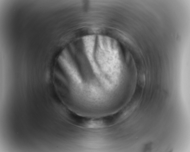 X0000088450270200706051311