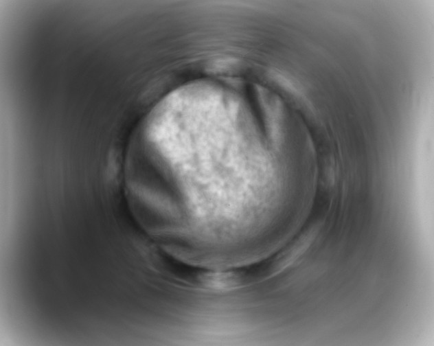 X0000088450273200706051311