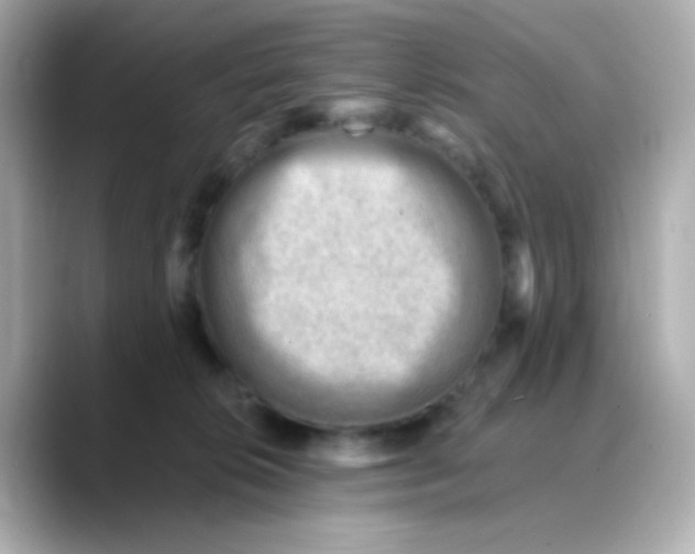X0000088450276200706051312