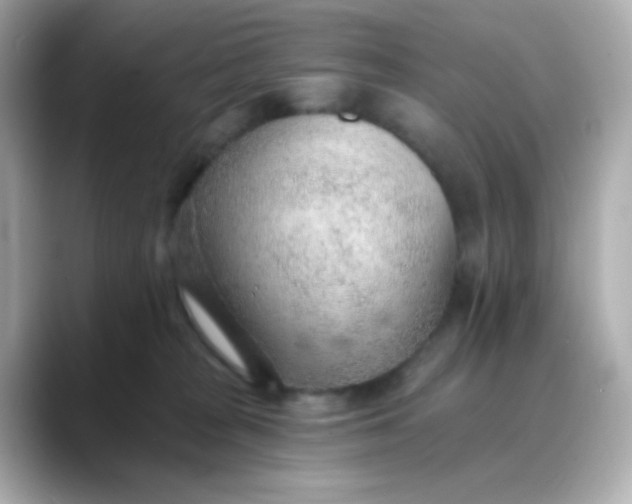 X0000088450277200706051312