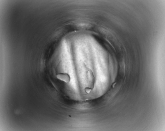 X0000088450278200706051312