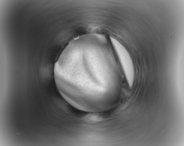 X0000088450280200706051312