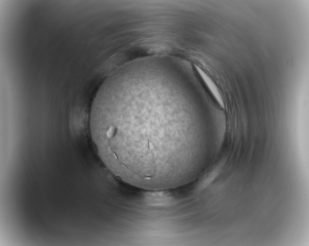 X0000088450281200706051312