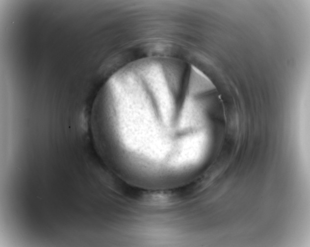 X0000088450282200706051312