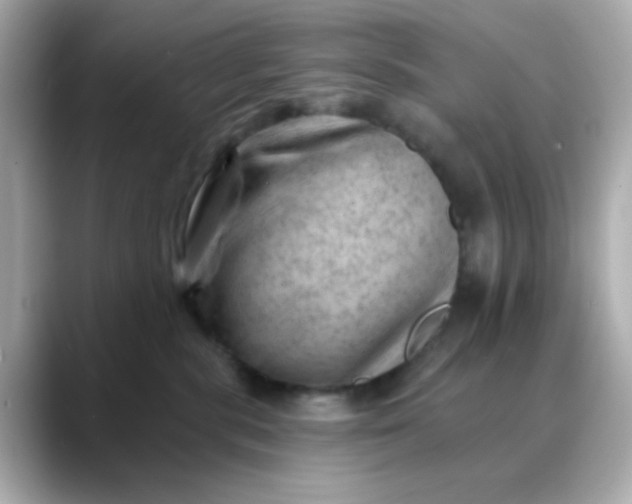 X0000088450283200706051312