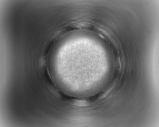 X0000088450284200706051312