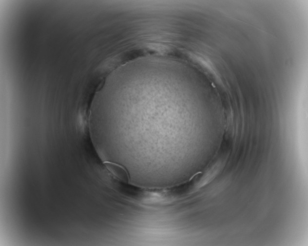 X0000088450285200706051312