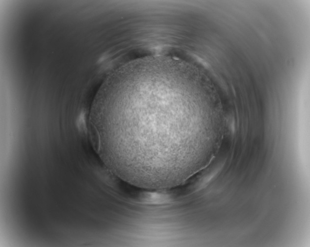 X0000088450286200706051312