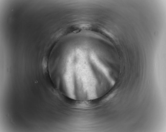 X0000088450288200706051312
