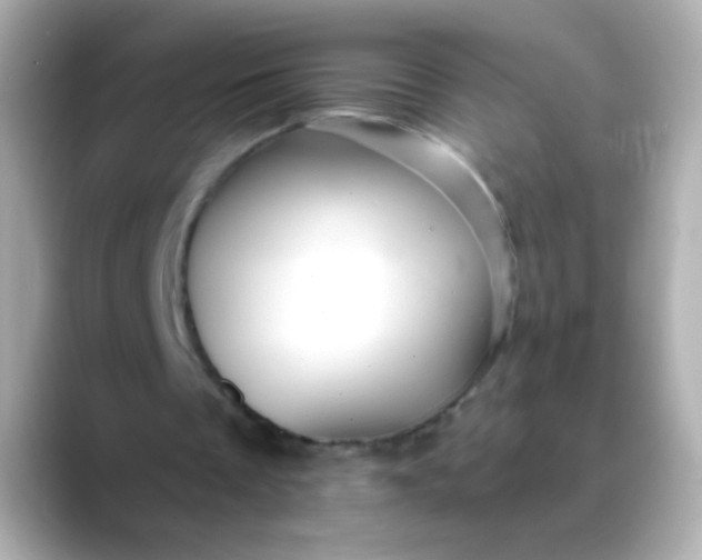 X0000088450289200706051311