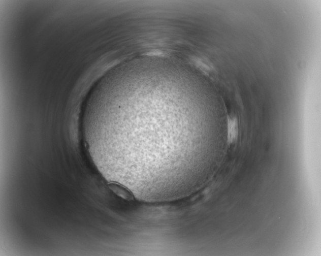 X0000088450291200706051311