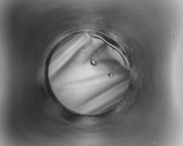 X0000088450292200706051311