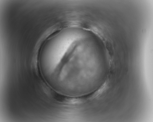 X0000088450293200706051311