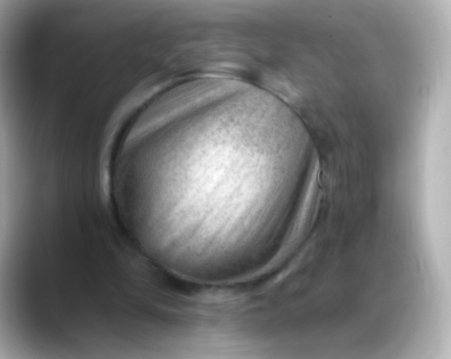 X0000088450294200706051311