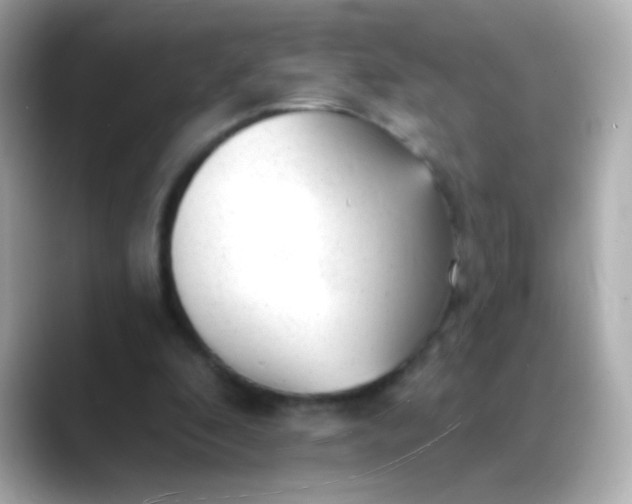 X0000088450296200706051311
