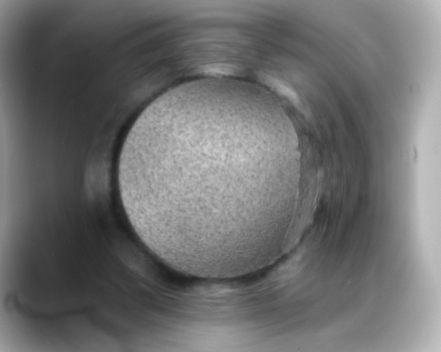 X0000088450299200706051311