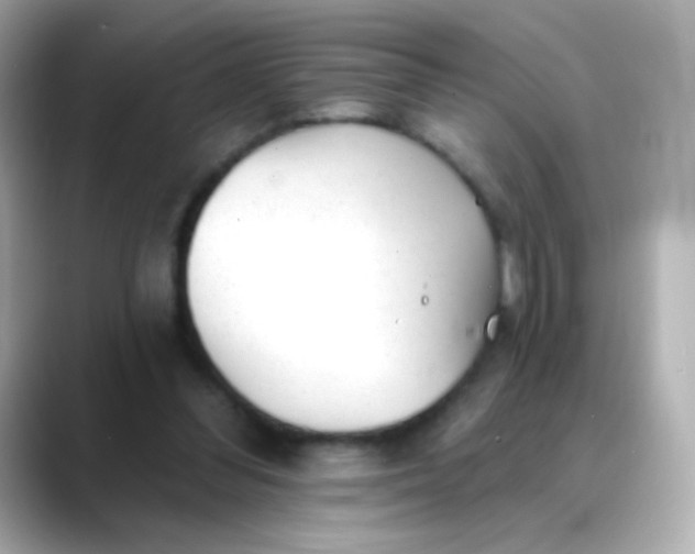 X0000088450300200706051311