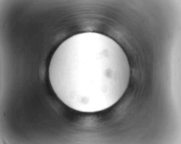 X0000088450304200706051311
