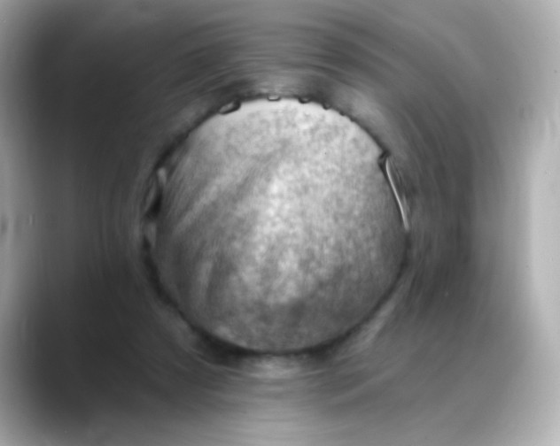 X0000088450305200706051311