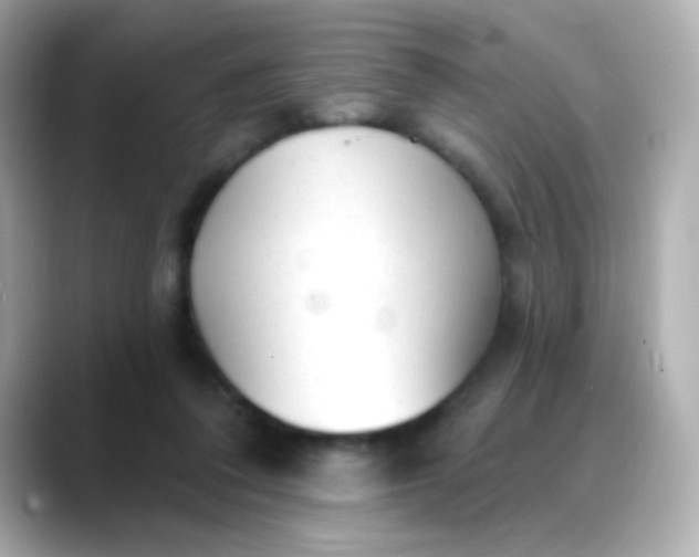 X0000088450308200706051311