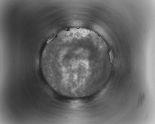 X0000088450309200706051311