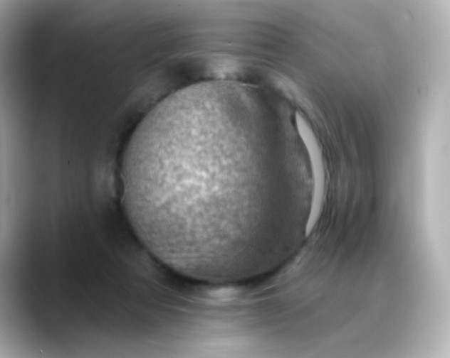 X0000088450313200706051311