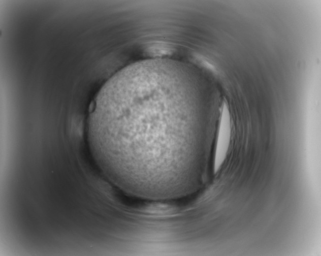 X0000088450315200706051311