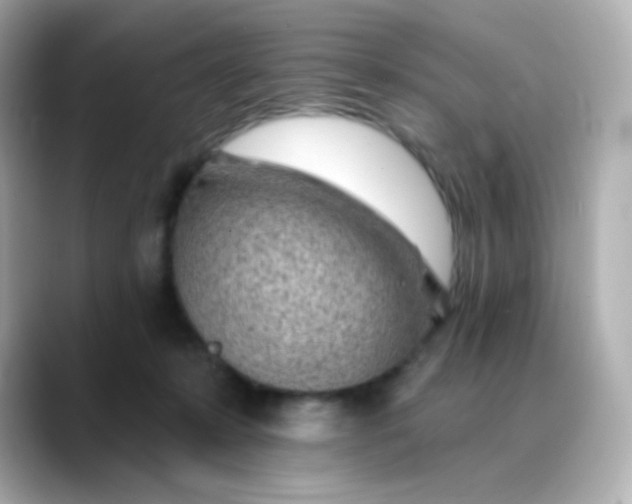 X0000088450319200706051311