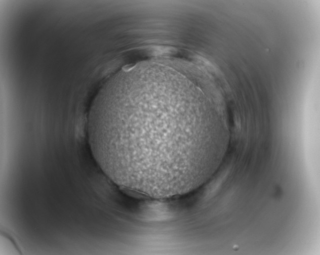 X0000088450325200706051311