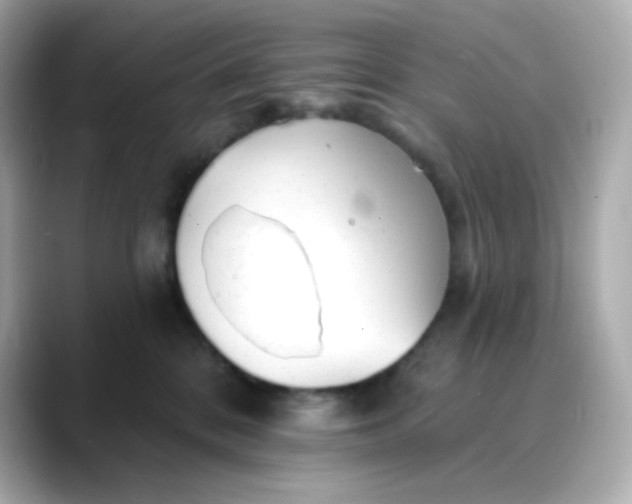X0000088450328200706051311