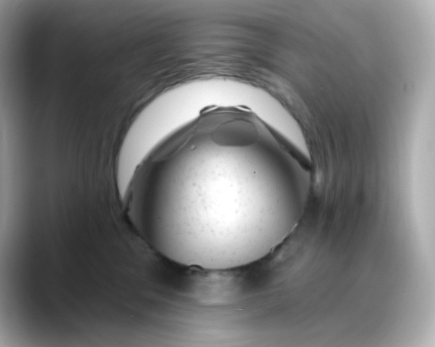 X0000088450329200706051311