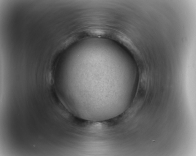 X0000088450330200706051311