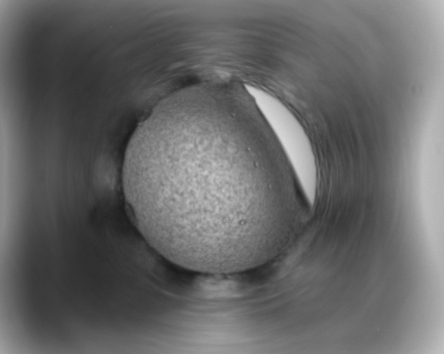 X0000088450331200706051311