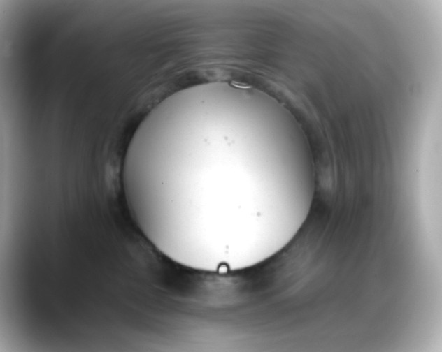 X0000088450332200706051311