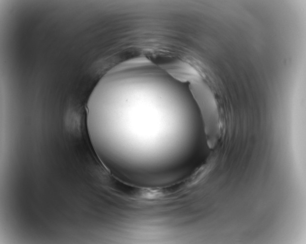 X0000088450333200706051311