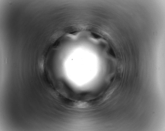 X0000088450334200706051311