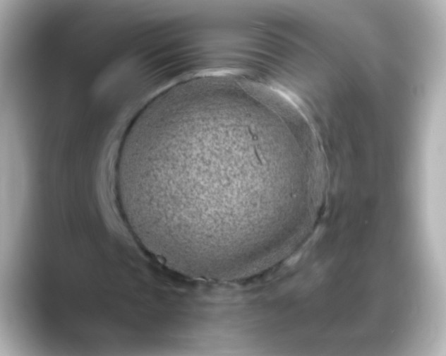 X0000088450337200706051310
