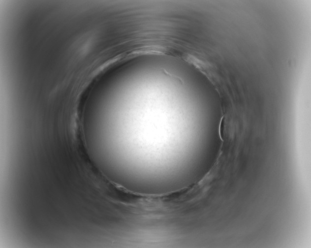 X0000088450338200706051310